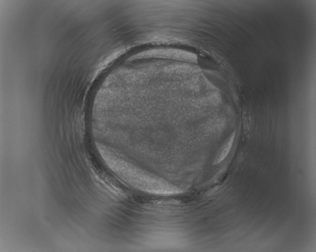 X0000076090488200610202111