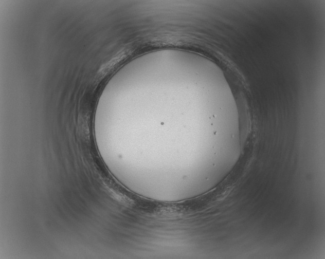 X0000076090489200610202111