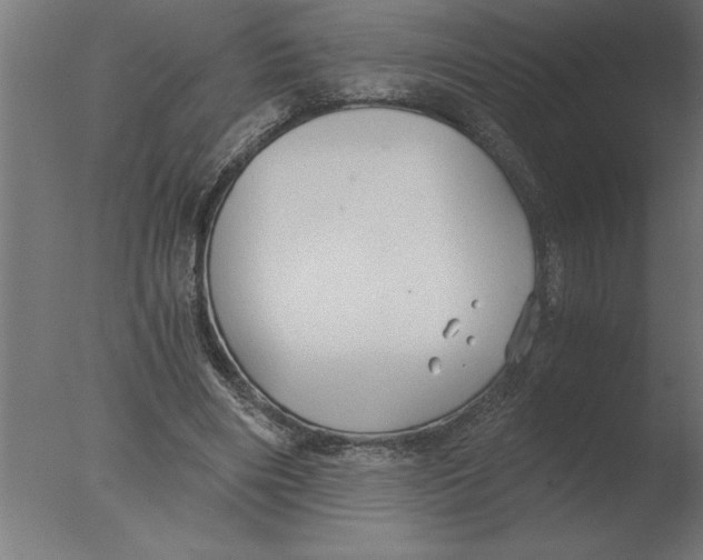 X0000076090490200610202111