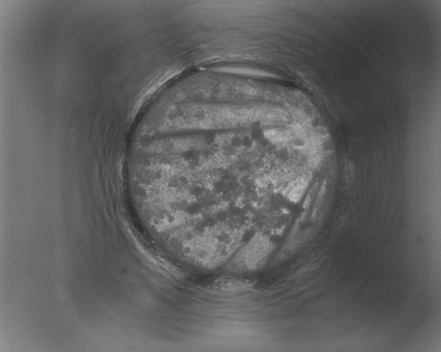 X0000076090491200610202111