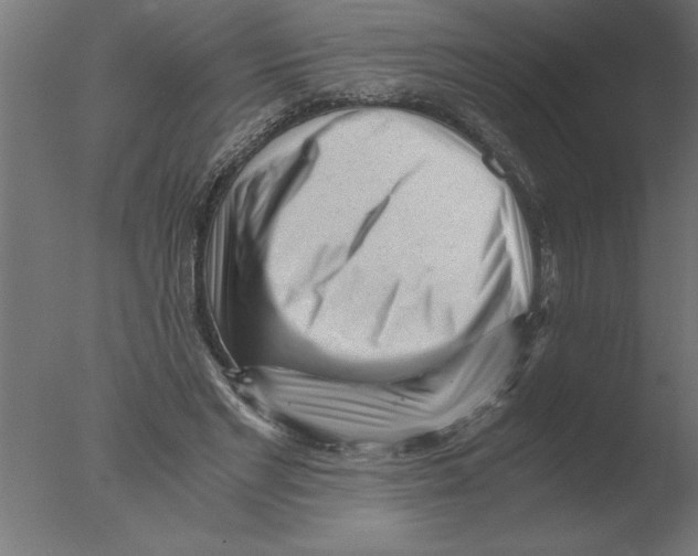 X0000076090493200610202111