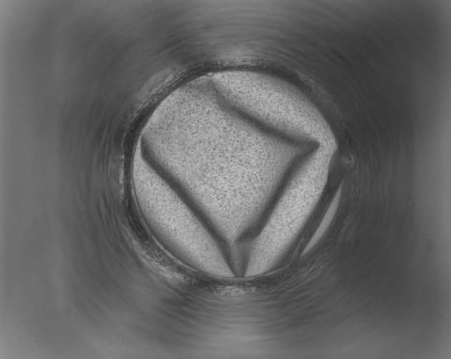 X0000076090494200610202111