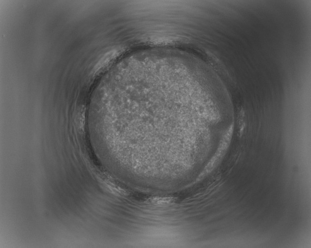 X0000076090495200610202111