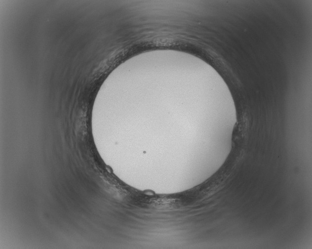 X0000076090497200610202111