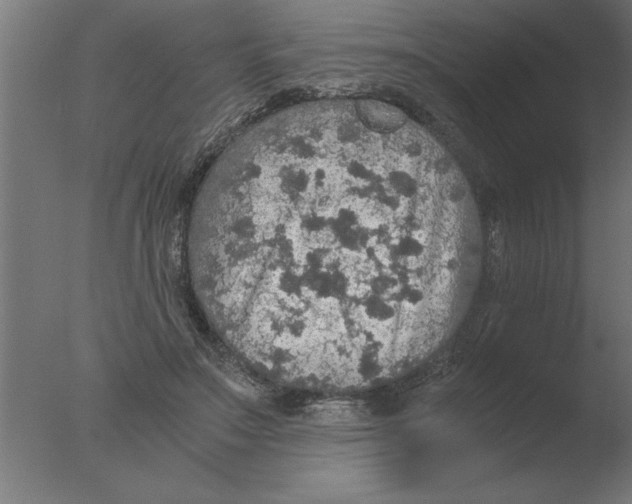 X0000076090499200610202111