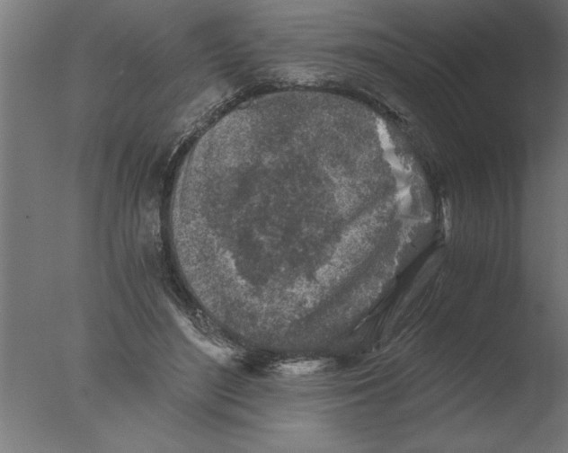 X0000076090500200610202111