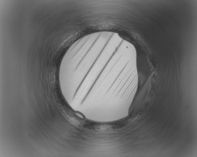 X0000076090501200610202110