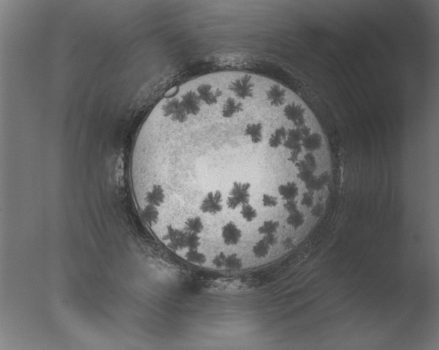 X0000076090502200610202110