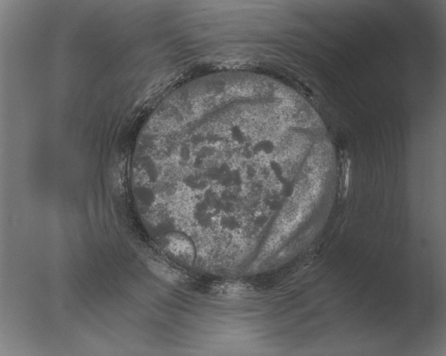 X0000076090503200610202110