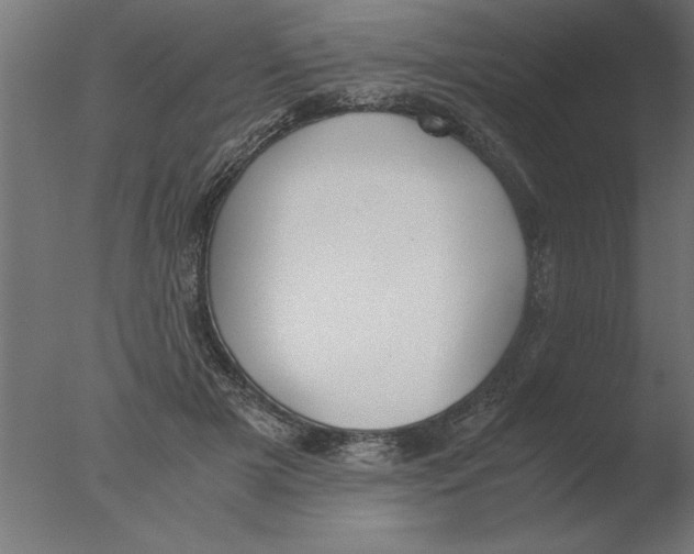 X0000076090505200610202110