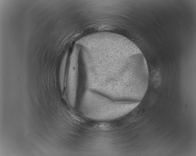 X0000076090506200610202110