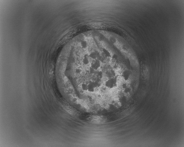 X0000076090507200610202110