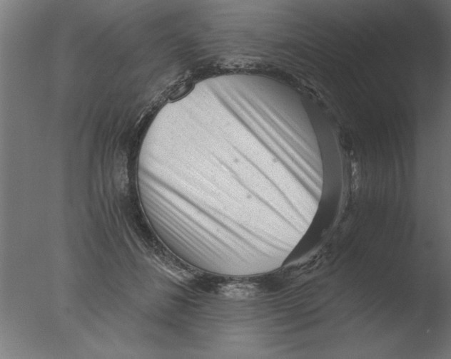 X0000076090508200610202110