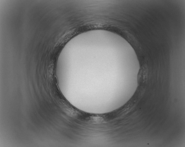 X0000076090509200610202110