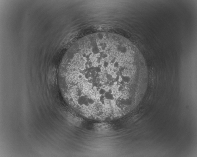 X0000076090511200610202110