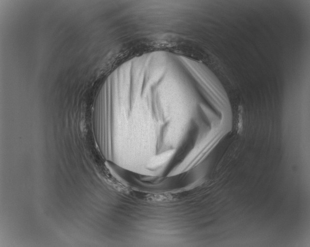 X0000076090512200610202110