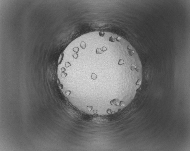 X0000076090515200610202109