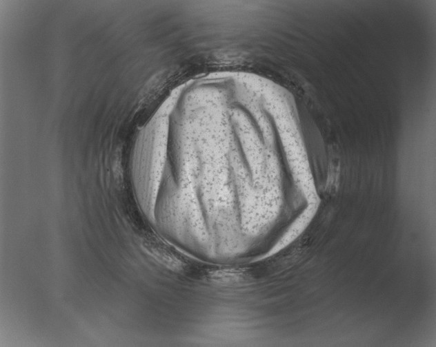 X0000076090516200610202109