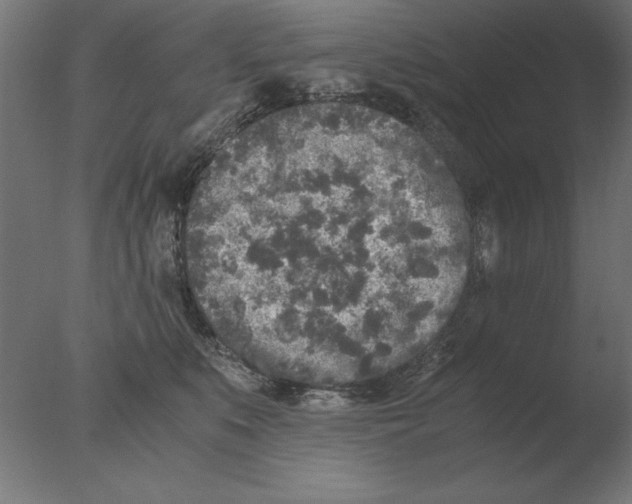 X0000076090519200610202109