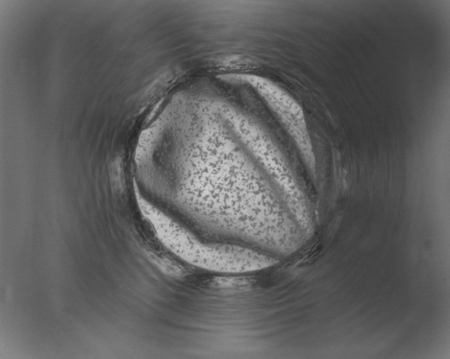 X0000076090520200610202109