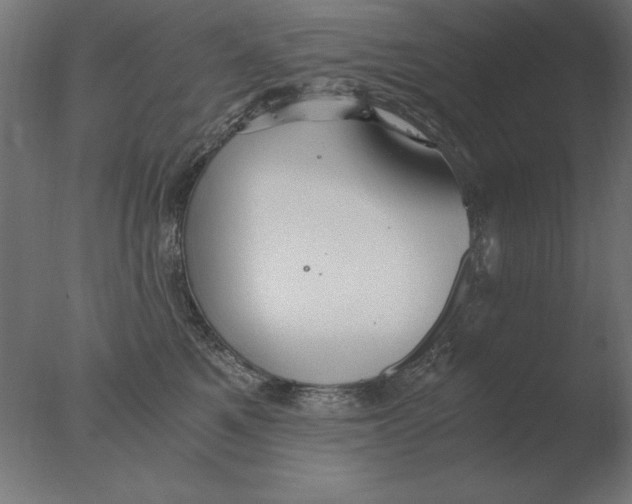 X0000076090521200610202109