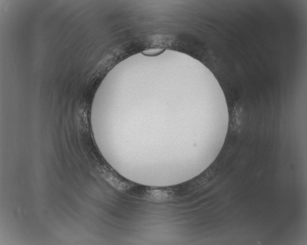 X0000076090522200610202109