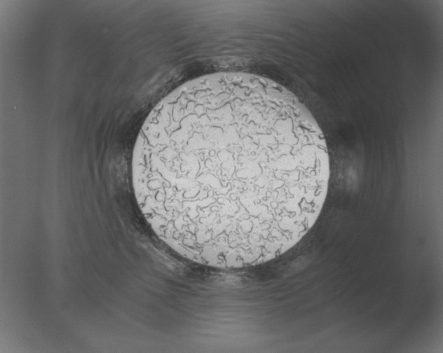 X0000076090523200610202109