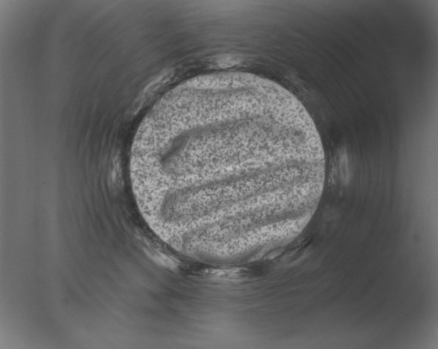 X0000076090524200610202109