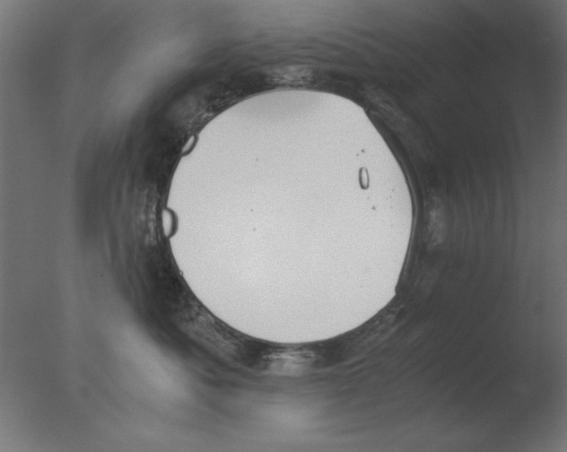 X0000076090525200610202109