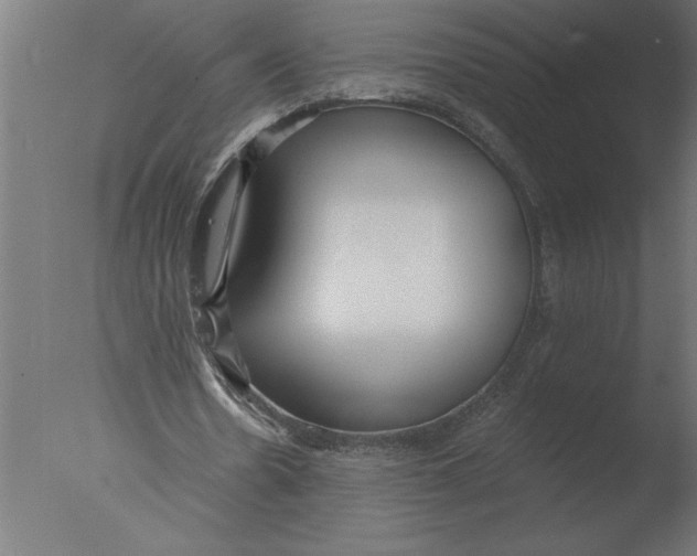 X0000076090530200610202108