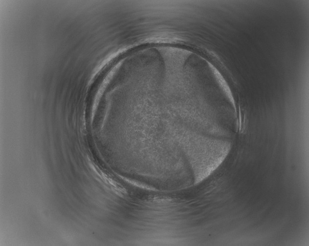 X0000076090531200610202108