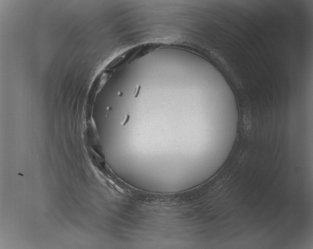 X0000076090532200610202108