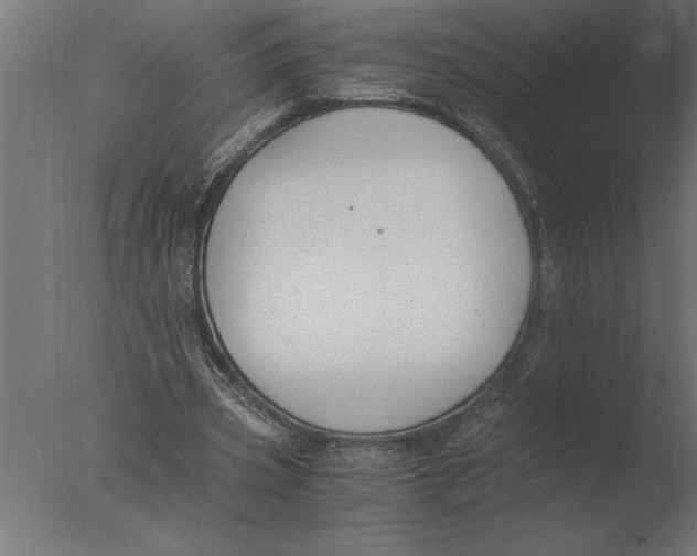 X0000076090533200610202109