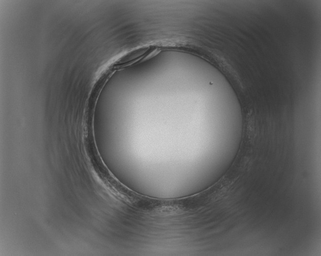 X0000076090536200610202109