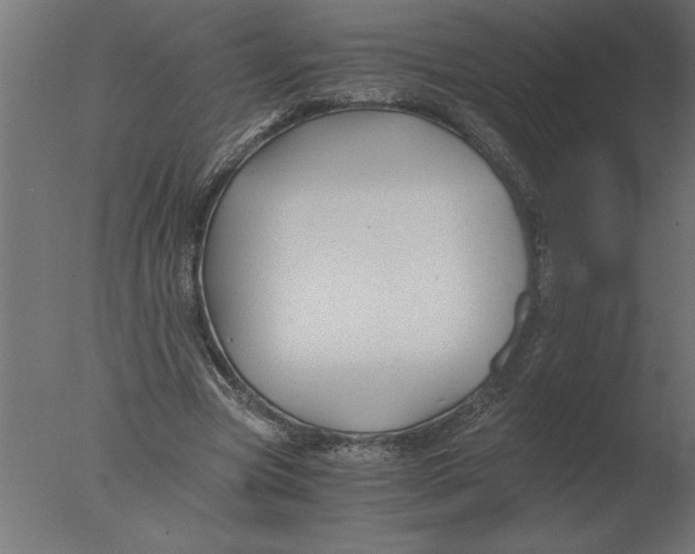 X0000076090537200610202109