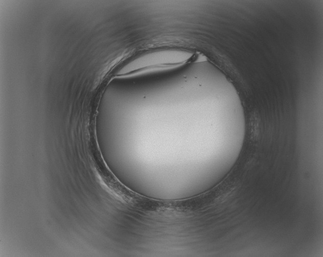 X0000076090538200610202109