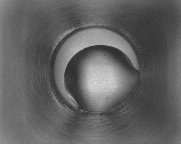 X0000076090540200610202109