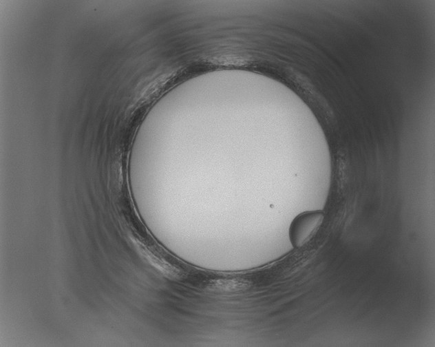 X0000076090541200610202109