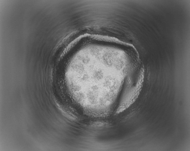 X0000076090542200610202109