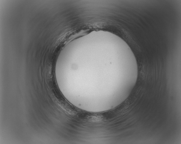 X0000076090548200610202109