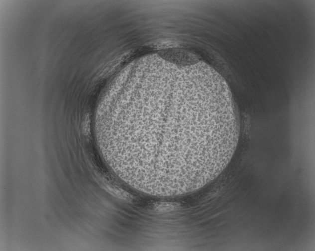 X0000076090549200610202109