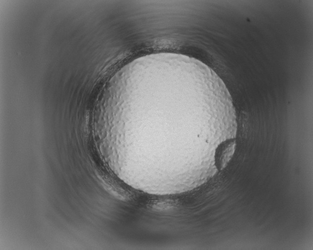 X0000076090550200610202109