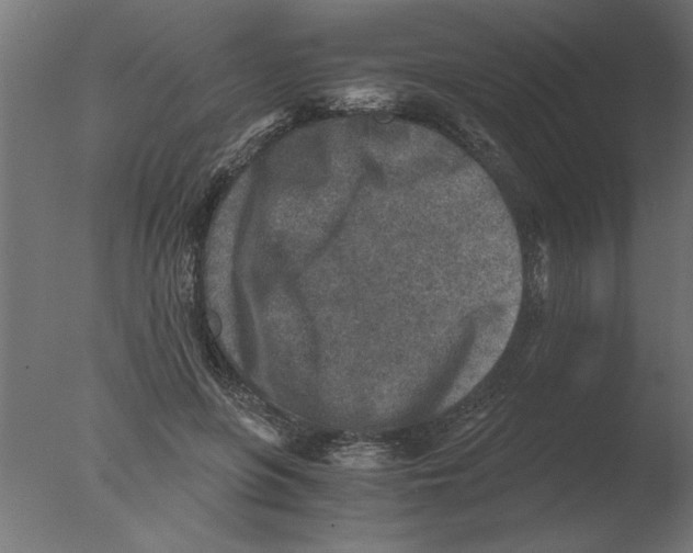 X0000076090551200610202109