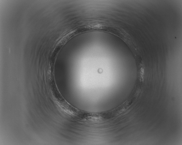 X0000076090552200610202109