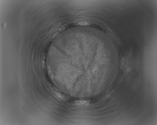 X0000076090553200610202109