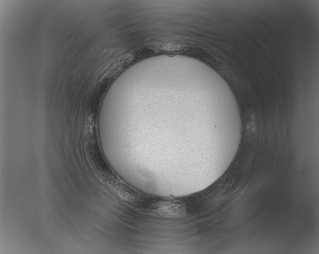 X0000076090555200610202109