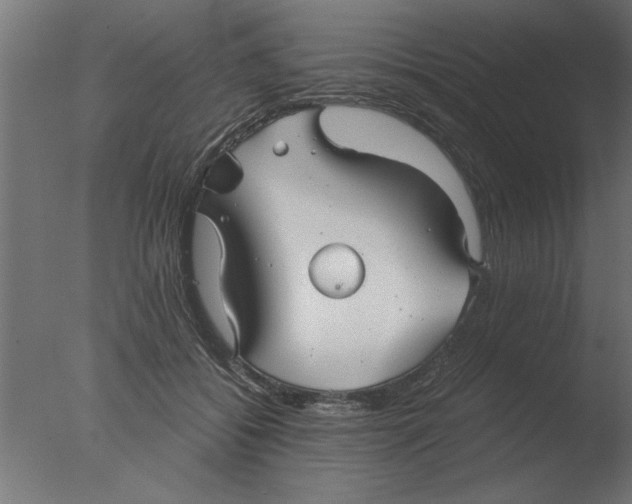 X0000076090556200610202109