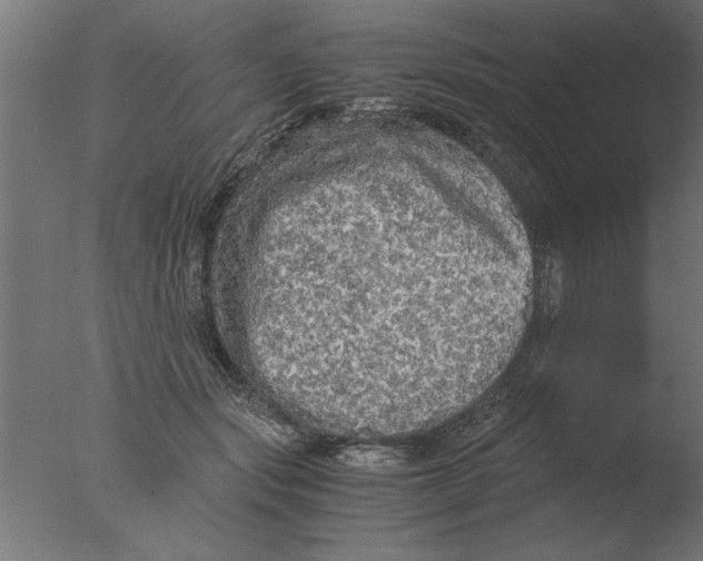 X0000076090557200610202109