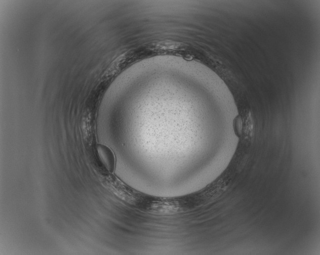 X0000076090559200610202109