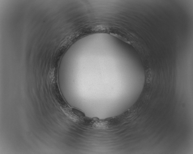 X0000076090560200610202109